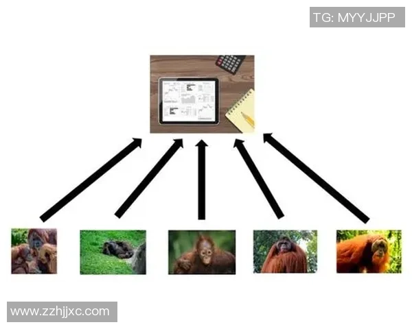 围绕猜足球球星23展开的趣味挑战全解析